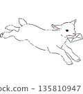 手繪插圖，一隻奔跑的白色小山羊叼著一封信 135810947