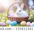 籃子裡的白兔 135811341