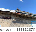 Pigeon perches on the edge of a weathered, dilapidated roof against a brilliant, clear blue sky with one small white cloud overhead. 135811875