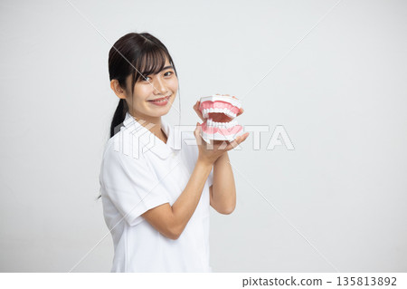 A young woman in a white coat smiling while holding a dental model in front of a white background 135813892