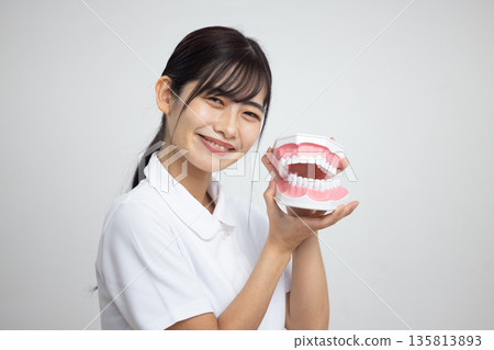 一位身穿白大褂的年輕女子麵帶微笑，手持牙科模型，站在白色背景前。 135813893