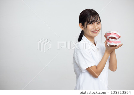 一位身穿白大褂的年輕女子麵帶微笑，手持牙科模型，站在白色背景前。 135813894