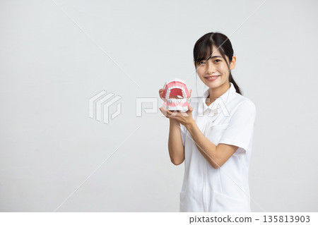 一位身穿白大褂的年輕女子麵帶微笑，手持牙科模型，站在白色背景前。 135813903