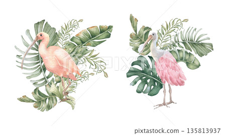 Set of watercolor tropical birds a pink ibis and a spoonbill among palm foliage isolated white. Exotic greenery plants and beauty birds hand drawn. Print design Hawaii style. Summer soft drawing. 135813937