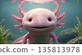 Smiling axolotl in water with pink gills and plants 135813978