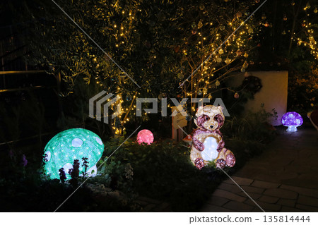 伊丹機場冬季燈光秀 135814444