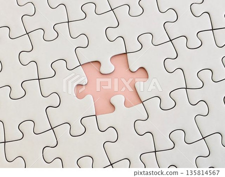 Jigsaw Puzzle (1 Piece Left - Pink) Jigsaw Puzzle (1 Piece Left - Pink) 135814567