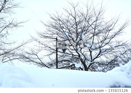 寒潮來襲,白雪皚皚的鄉村路燈被厚厚的積雪覆蓋。 寒潮來襲,白雪皚皚的鄉村路燈被厚厚的積雪覆蓋。 135815126