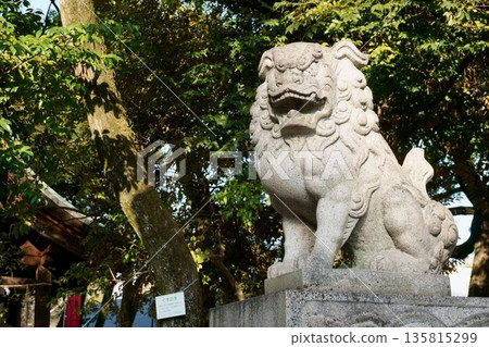 Toyokuni Shrine Komainu Agata Toyokuni Shrine Komainu Agata 135815299