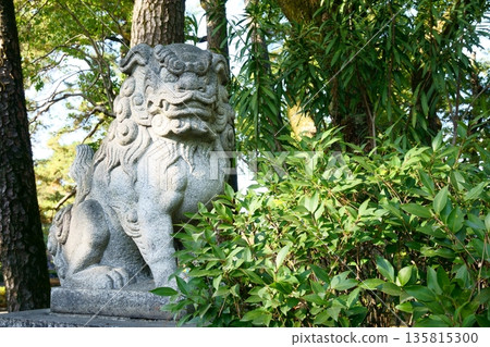 豐國神社 - Un-style Komainu 135815300