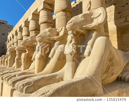 Karnak Temple is dedicated to the temple complex of Ancient Egypt. Thebes, Karnak, Luxor, Egypt 135815479