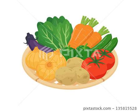 Vegetables in a colander, flat illustration 135815528