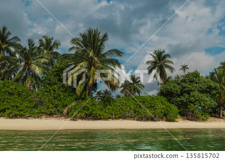 Tropical shoreline with palm trees and sandy beach at Lipa Noi on Samui island Thailand calm sea water and lush greenery under cloudy blue sky 135815702