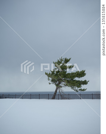 冬季的日本海和珊瑚礁,寧靜的海岸景色 冬季的日本海和珊瑚礁,寧靜的海岸景色 135815884