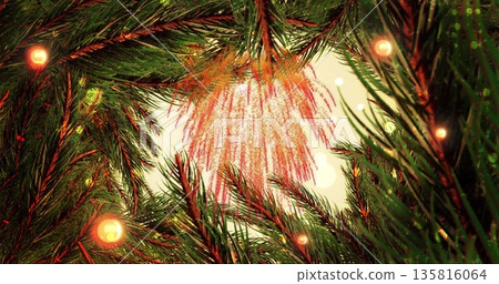 Image of light spots and fireworks over fir tree 135816064