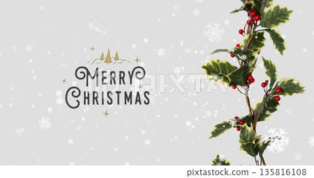 Image of merry christmas text over snow falling and plant Image of merry christmas text over snow falling and plant 135816108