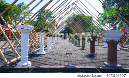 Rows of Bonsai Trees Displayed in Bamboo Frame Pavilion Rows of Bonsai Trees Displayed in Bamboo Frame Pavilion 135816507