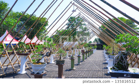 Vibrant Bonsai Exhibition with Bamboo Framework and Tents Vibrant Bonsai Exhibition with Bamboo Framework and Tents 135816512