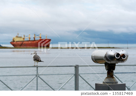 Seagull and binoculars overlooking rusted cargo ship Seagull and binoculars overlooking rusted cargo ship 135817469