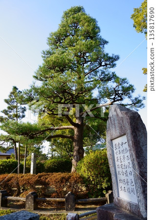 大正天皇栽種的松樹和石碑 135817690