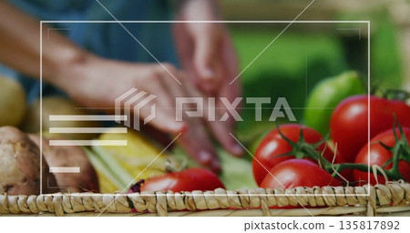Slicing hands in blue short-sleeved shirt cutting squash on garden table, with basket and tomatoes Slicing hands in blue short-sleeved shirt cutting squash on garden table, with basket and tomatoes 135817892
