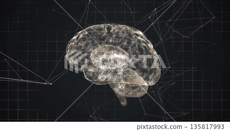 Floating wireframe brain model glowing against dark grid backdrop, with network lines and nodes Floating wireframe brain model glowing against dark grid backdrop, with network lines and nodes 135817993