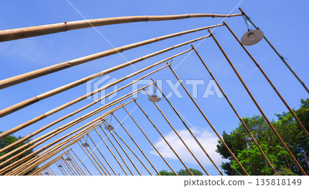 Creative Bamboo Installation with Hanging Lanterns Against Blue Sky 135818149