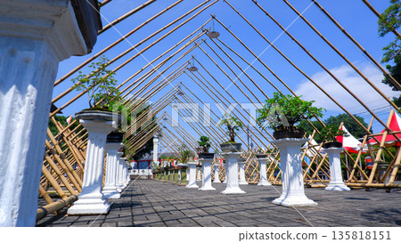Low Angle View of Bonsai Exhibition Under Bamboo Framework Low Angle View of Bonsai Exhibition Under Bamboo Framework 135818151