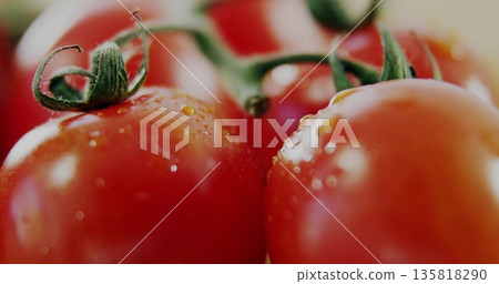 Showing red tomatoes hanging on green vine on kitchen countertop, with water droplets glistening Showing red tomatoes hanging on green vine on kitchen countertop, with water droplets glistening 135818290