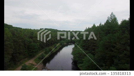 Flowing narrow forest river paralleling dirt path under overcast sky, with coniferous trees lining Flowing narrow forest river paralleling dirt path under overcast sky, with coniferous trees lining 135818313