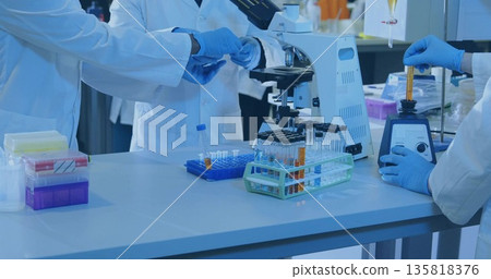Working four researchers in lab coats and blue gloves at lab bench, with test tube racks 135818376