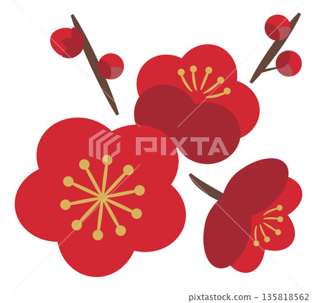 梅花和花苞_紅色 135818562