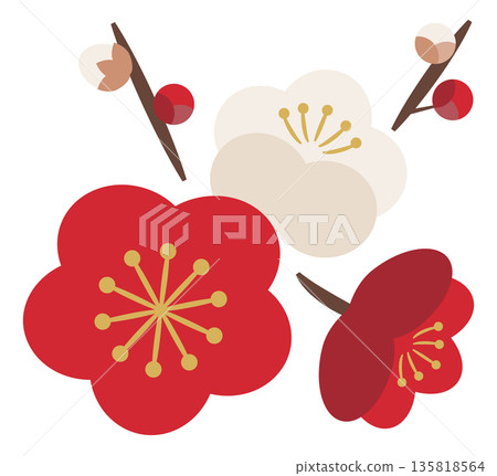 Plum blossoms and buds_red and white 135818564