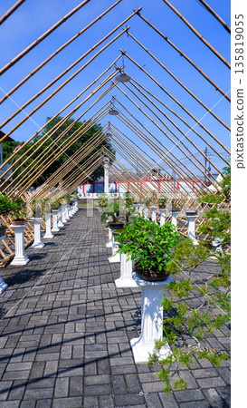 Artistic Bonsai Display Path Under Bamboo Pyramid Tunnel 135819055