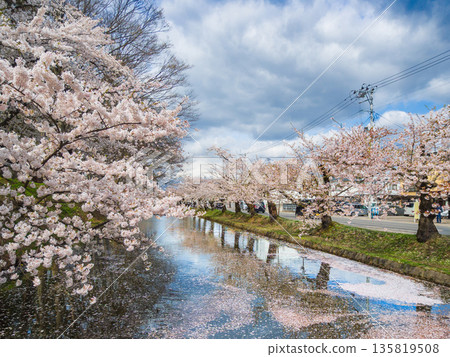 Cherry blossom trees in full bloom reflected on the surface of the outer moat of Hirosaki Park, with Mount Iwaki visible in the distance (Hirosaki City, Aomori Prefecture) Cherry blossom trees in full bloom reflected on the surface of the outer moat of Hirosaki Park, with Mount Iwaki visible in the distance (Hirosaki City, Aomori Prefecture) 135819508