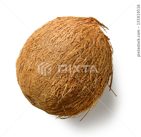 fresh raw coconut whole on white background fresh raw coconut whole on white background 135819516