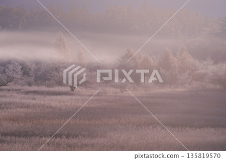 Morning grassland shrouded in morning mist Morning grassland shrouded in morning mist 135819570