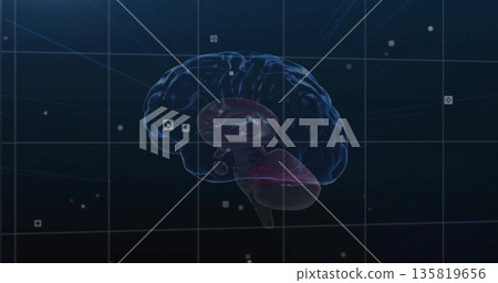 Floating 3D brain displaying highlighted cerebellum and brainstem in lab UI, glowing data nodes 135819656