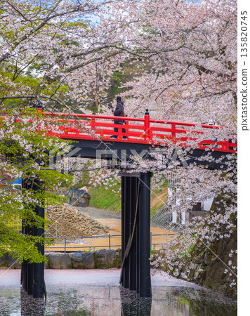 Hirosaki Castle's Shimojobashi Bridge and inner moat, surrounded by cherry blossoms in the spring (Hirosaki City, Aomori Prefecture) Hirosaki Castle's Shimojobashi Bridge and inner moat, surrounded by cherry blossoms in the spring (Hirosaki City, Aomori Prefecture) 135820745