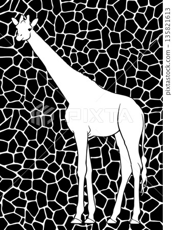 Giraffe  135821613