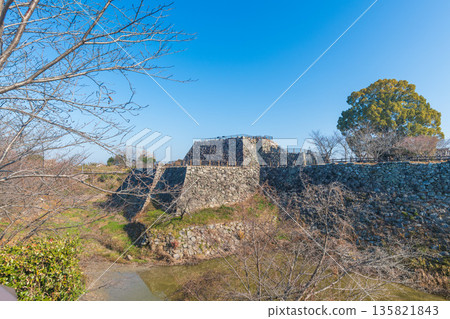 View of the castle tower of Koriyama Castle from the remains of Gojikken Baba 135821843
