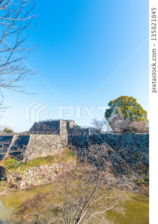 View of the castle tower of Koriyama Castle from the remains of Gojikken Baba 135821845