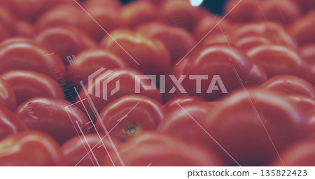 Pile of ripe red tomatoes gleaming on produce display in supermarket, with water droplets 135822423