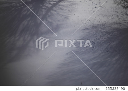 雪花飄落的間隙，微弱的陽光灑在白雪皚皚的田野上，樹影婆娑。 135822490