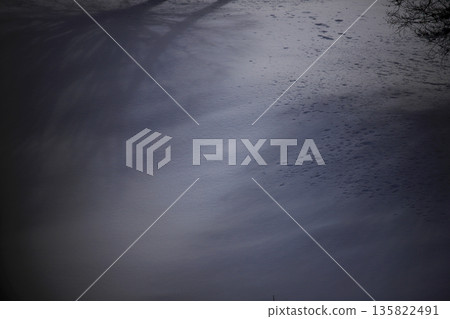 雪花飄落的間隙，微弱的陽光灑在白雪皚皚的田野上，樹影婆娑。 135822491