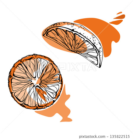 Orange slices with juice splashes, textured ink pulp and bright citrus zest. Fresh fruit vector clipart hand drawn for beverage labels, cafe branding, summer recipes, organic skincare product visuals. Orange slices with juice splashes, textured ink pulp and bright citrus zest. Fresh fruit vector clipart hand drawn for beverage labels, cafe branding, summer recipes, organic skincare product visuals. 135822515
