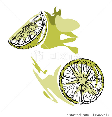 Lime slice and wheel with hand drawn ink zest, isolated vector illustration. Tropical cocktail ingredient clipart for bar menu design, recipe layouts, citrus collections, fruit vendors, farmers market 135822517