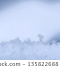 Snowflake crystal standing tall in fresh snow, illustrating nature's intricate winter beauty and cold fragility 135822688