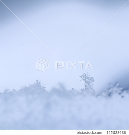 Snowflake crystal standing tall in fresh snow, illustrating nature's intricate winter beauty and cold fragility Snowflake crystal standing tall in fresh snow, illustrating nature's intricate winter beauty and cold fragility 135822688