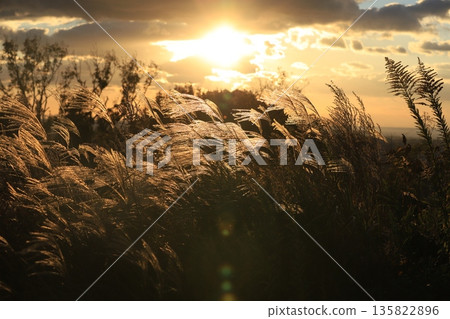 Sunset and rinse 135822896